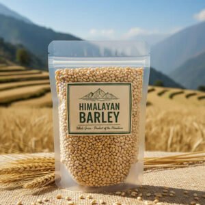 Barley (Himalayan)
