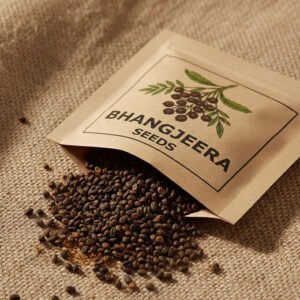 Bhangjeera Seed